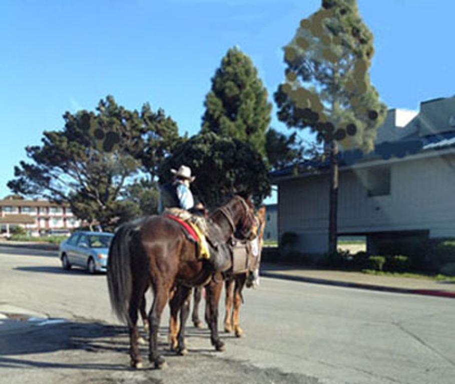 Bayfront Inn Morro Bay Buitenkant foto